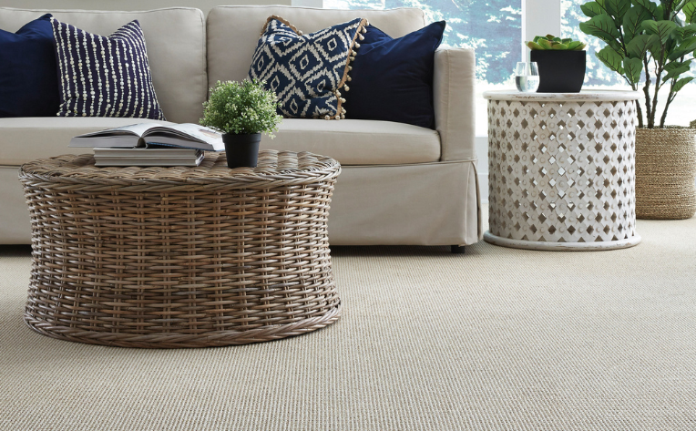 modern farmhouse living room with beige carpet